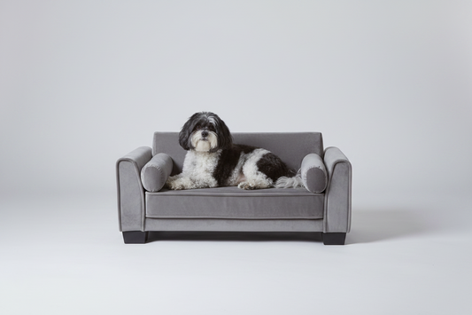 Mizu Muse Upholstered Sleek Pet Lounger – front view – luxury pet lounger India – The Flamingo Life