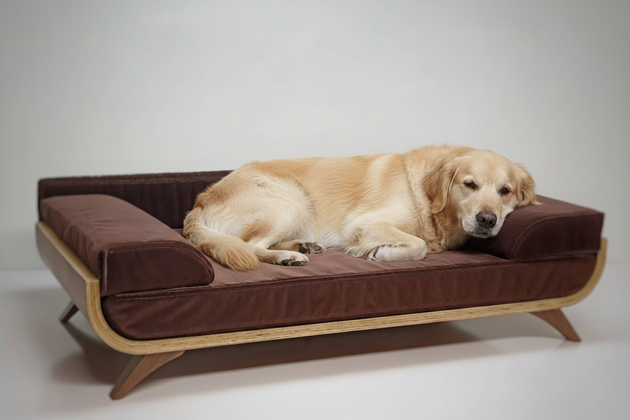 Sora Settle – Teak Elevated Pet Daybed