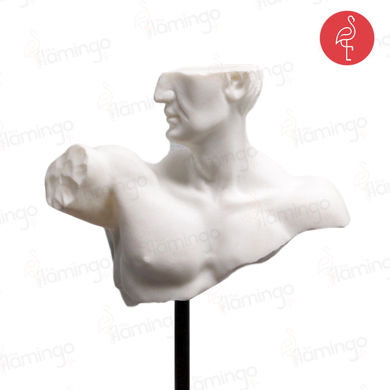 Alexandria Male Bust Figurine – angle view – luxury art decor India – The Flamingo Life