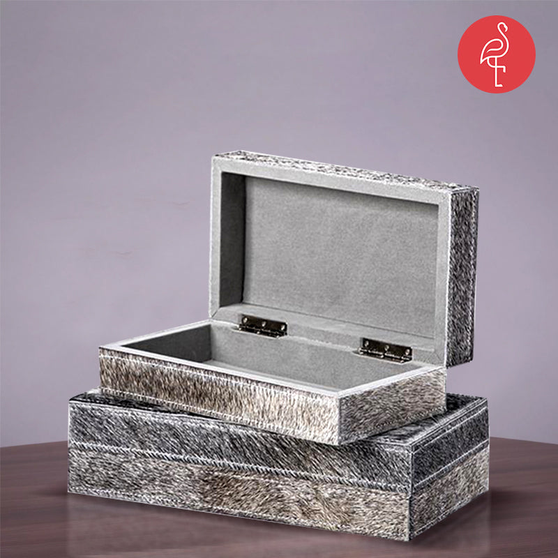 Ramses Silver Grey Box